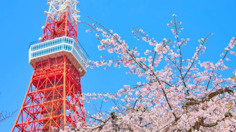 Tokyo vững vàng vị trí dẫn đầu bảng xếp hạng 10 thành phố đáng sống nhất thế giới