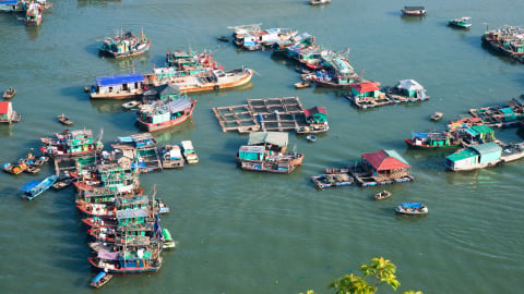 Bão số 1 Maysak mạnh lên: Du khách đi biển Quảng Ninh - Hải Phòng, leo núi phía Bắc chú ý