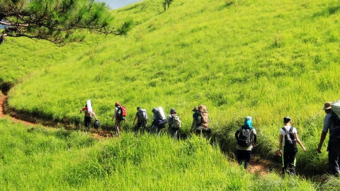 Tà Năng mùa cỏ xanh