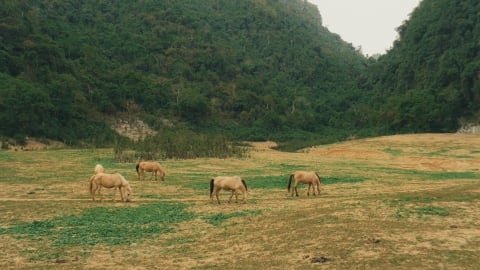 Trốn thế giới ở ngôi làng biệt lập của người Dao: không điện, không chợ, không xe