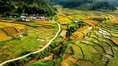Tất tần tật về du lịch Măng Đen 2025: Ăn gì, chơi gì, ở đâu?