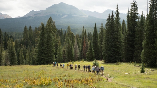 Một ngày ở lễ hội nấm Colorado