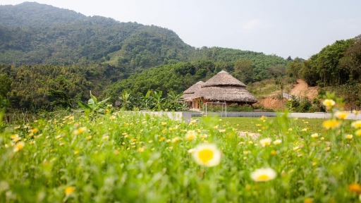 Gói gọn bình yên trong nông trại Lá Mây