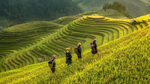 Mù Cang Chải ra mắt Làng văn hóa du lịch cộng đồng