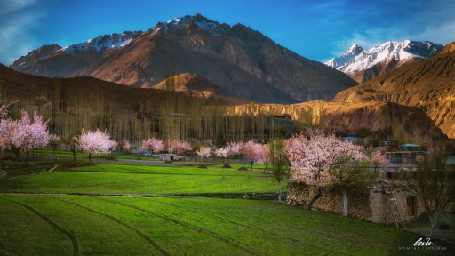 Mùa xuân dịu dàng ở Hunza