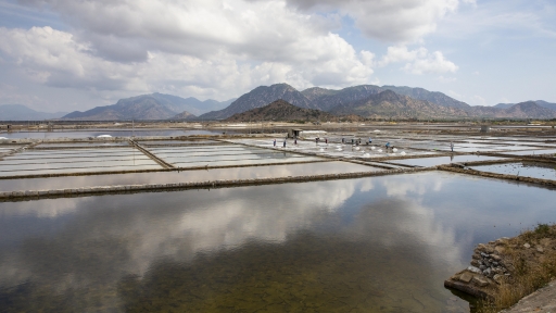 Khám phá Ninh Thuận