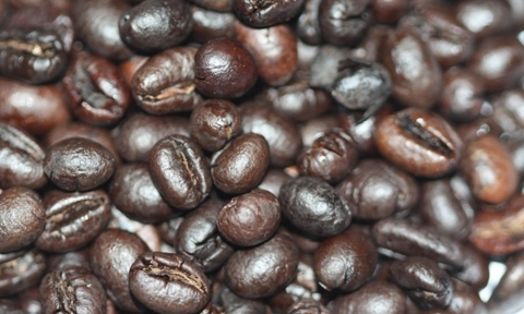 Highlands Coffee ra mắt cà phê Culi 