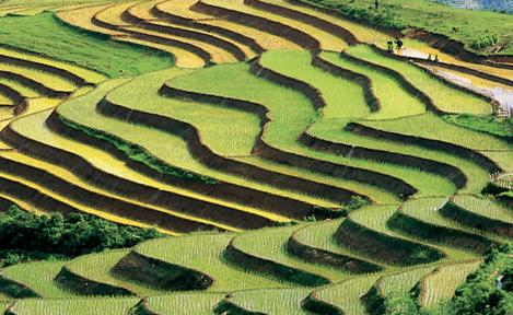 Mùa xuân Tây Bắc 