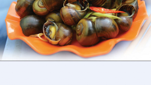 Sài Gòn ốc