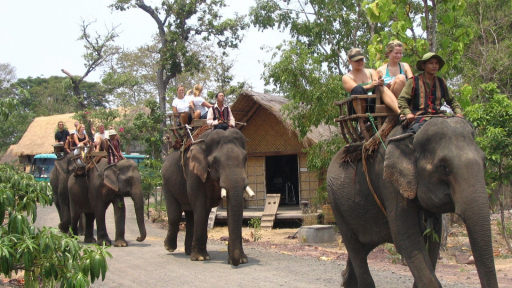 Khám phá con đường xanh Tây Nguyên