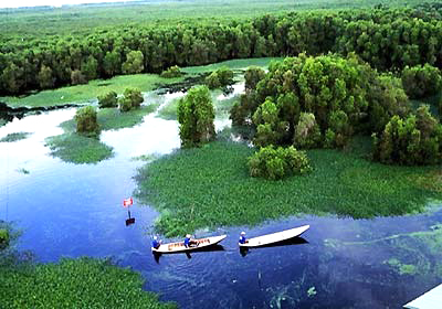 Về thăm miệt thứ Cà Mau