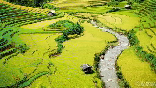 Saigontourist ra mắt chùm tour khám phá Đông - Tây bắc mùa Thu 2014 