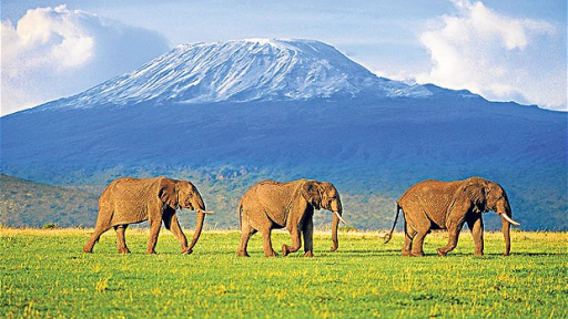 Kenya - vùng đất Hoang dã đầy cuốn hút 