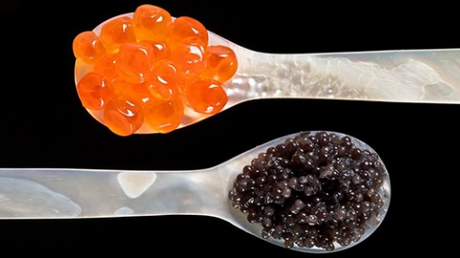 Trứng cá hảo hạng Caviar, 'ngọc trai đen' từ biển cả