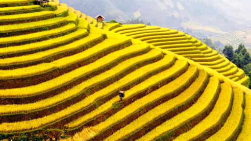 Chuẩn bị cho kỳ nghỉ lễ..bạn có muốn Săn ảnh miền núi rừng phía Bắc !...