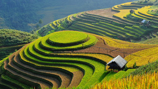 Vietravel áp dụng nhiều ưu đãi kỷ niệm Giải phóng Thủ đô