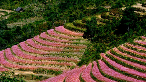 9 trải nghiệm nên thử ở Hà Giang
