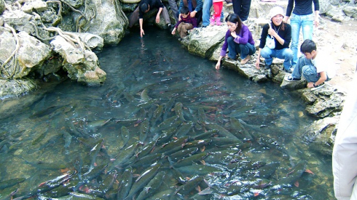 Saigontourist tiên phong triển khai chùm tour Thanh Hóa