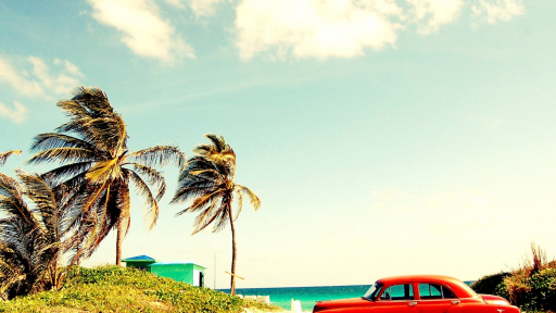 Yêu Cuba ngay lần đầu gặp gỡ