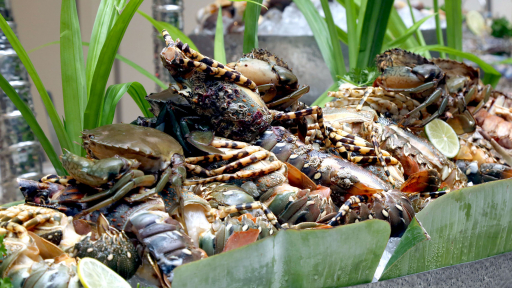 Buffet hải sản 'hoành tráng' tại nhà hàng Nineteen