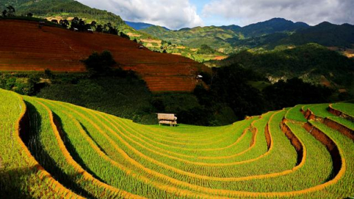 Độc đáo gia vị miền rẻo cao