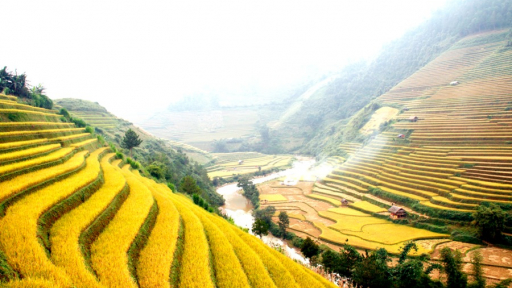 Độc đáo gia vị miền rẻo cao
