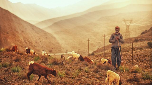 Vùng miền núi miền Nam, Iran