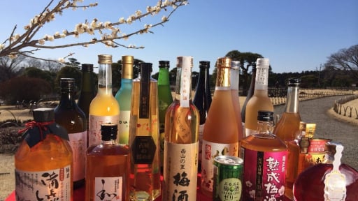 Khai trương Cửa hàng Thực phẩm của của Ibaraki,Tochigi và Gunma tại Việt Nam 