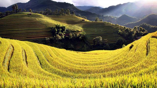 Khởi động chương trình quốc gia #WhyVietnam - Quảng bá du lịch Việt ra thế giới