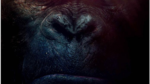 KONG: ĐẢO ĐẦU LÂU - Siêu phẩm Hollywood đầu tiên quay tại Việt Nam