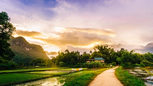 Giữa thung xanh Mai Châu