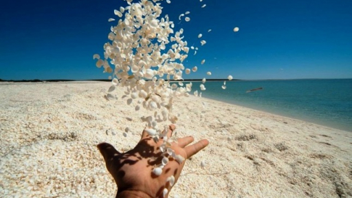 Shell Beach một trong hai bãi biển kỳ thú nhất Thế Giới 