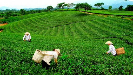 Lễ khai mạc Mùa du lịch Thái Nguyên năm 2018