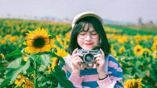 Đón nắng tại đồng hoa hướng dương Đà Lạt