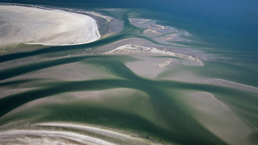 10 lý do để đến thăm biển Wadden