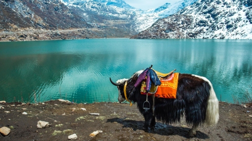 Sikkim: thiên đường nơi đất Ấn