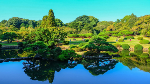 Đến Tokyo tham quan The Garden of Words