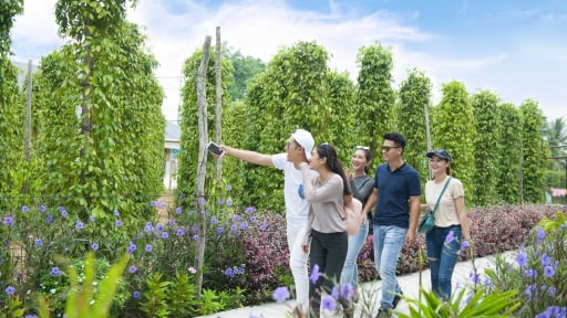 Ra mắt dịch vụ Hop on Hop off ở Phú Quốc