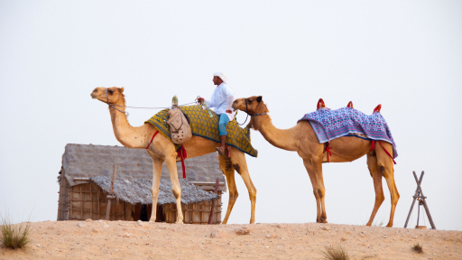 Trải nghiệm Dubai cùng Vietsense