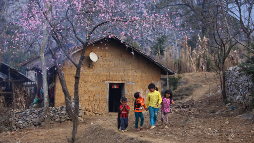 Sắc hoa ngẩn ngơ ở Hà Giang