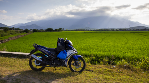 Hành trình Tết Tây Nguyên - Nam Trung Bộ