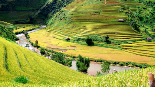6 địa điểm cắm trại lý tưởng ở Việt Nam