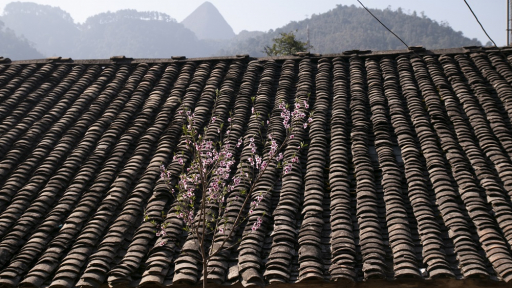 Ngôi nhà 200 năm tuổi ở Hà Giang