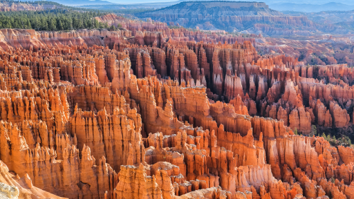 Tây nam Mỹ và rừng hoodoo ở Bryce Canyon