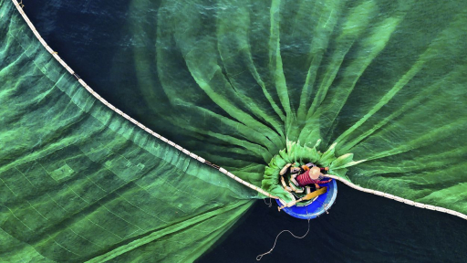 Ấn tượng cuộc thi ảnh Nature Conservancy