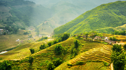 Quang Đại vi vu Sa Pa mùa lúa chín