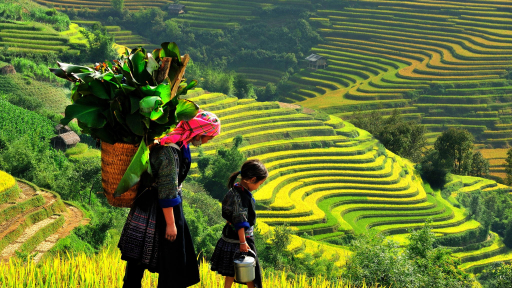 Một Sa Pa 'lạc lõng'