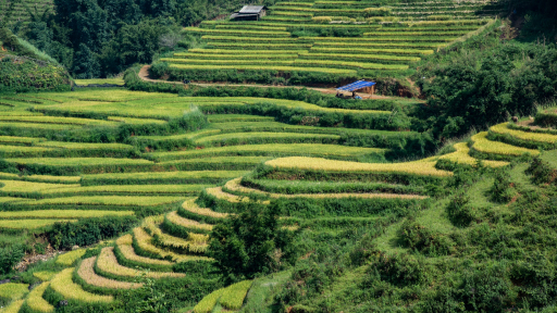 Tìm sự lặng lẽ giữa Sa Pa ồn ào