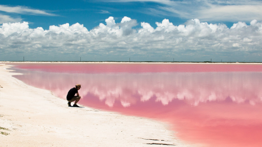Hồ nước màu hồng như cổ tích ở Mexico