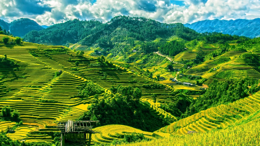 Mù Cang Chải là điểm đến của năm 2020